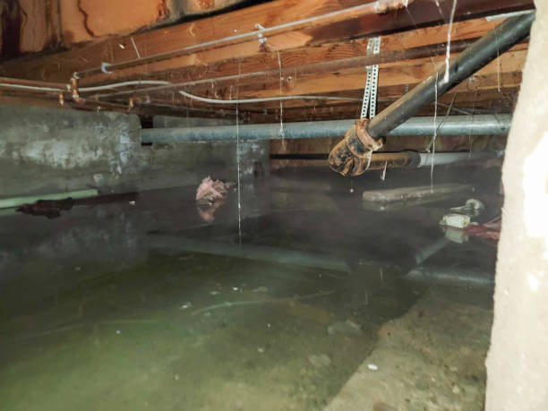 Best Basement water damage restoration  in South Zanesville, OH