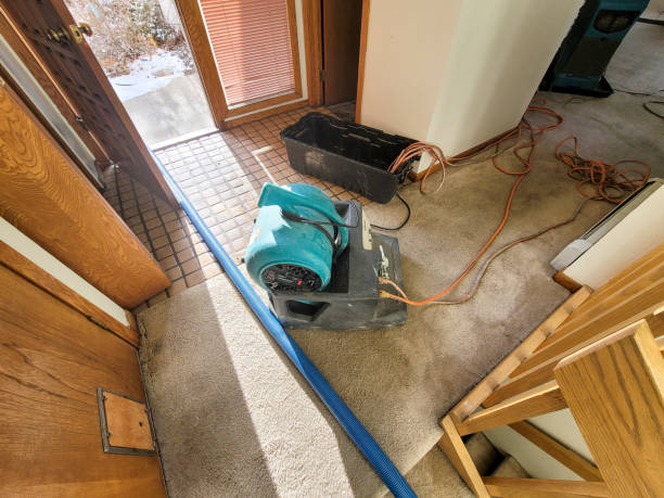 Best Sewage cleanup and water damage restoration  in South Zanesville, OH