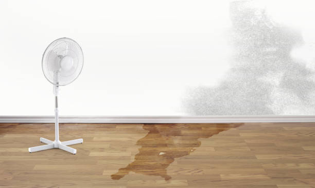 Best Water damage restoration near me  in South Zanesville, OH