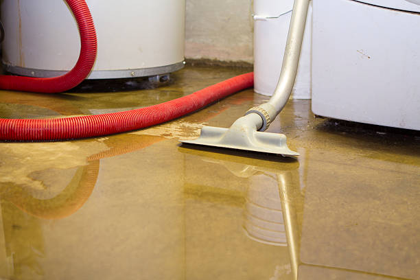 Best Mold removal after water damage  in South Zanesville, OH