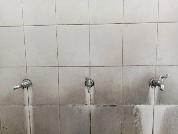 Best Fire Damage Restoration  in South Zanesville, OH