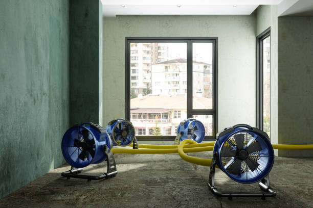 Best Water damage cleanup near me  in South Zanesville, OH